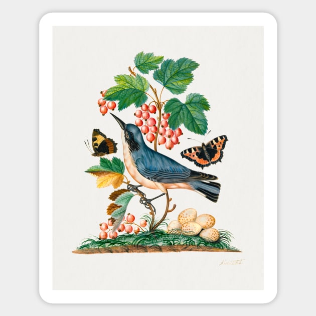 Subalpine warbler and eggs, strawberry, red admiral butterflies, wasp cocoon, ants and cocoons Sticker by Veiovis